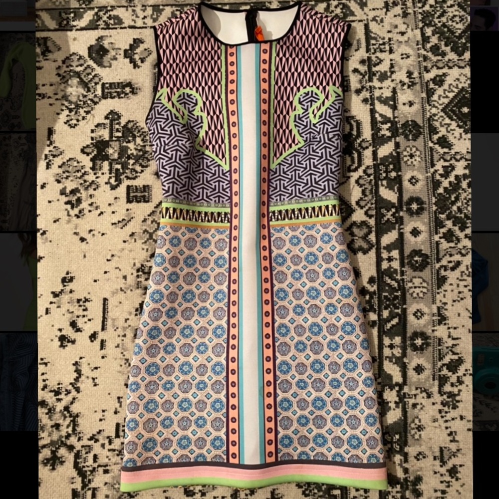 Sexy Party Clover Canyon Dress Worn Once